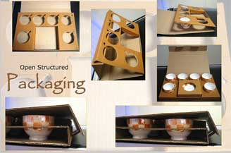 Packaging to Planogram: 
Defining &lsquo;ShelfLogic&rsquo;